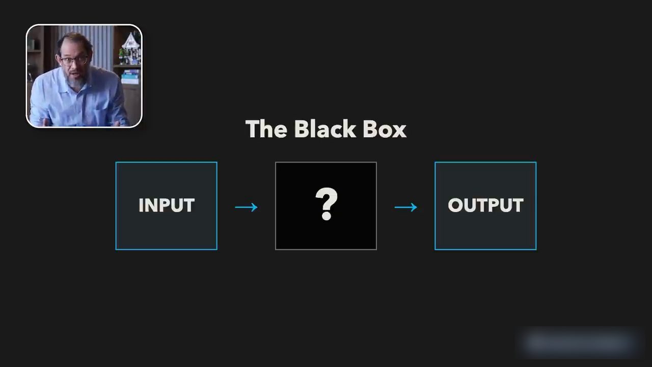 Slide The Black Box: INPUT, dấu hỏi, OUTPUT