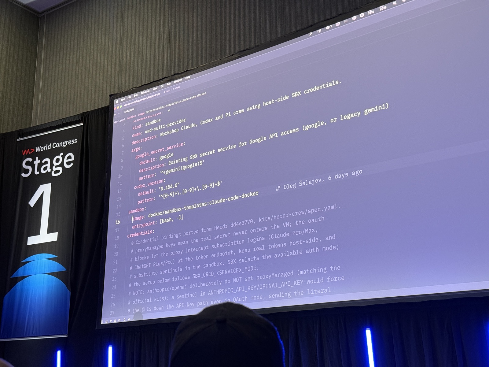 File spec.yaml kind sandbox, name wad-multi-provider, image docker/sandbox-templates:claude-code-docker, credentials comment