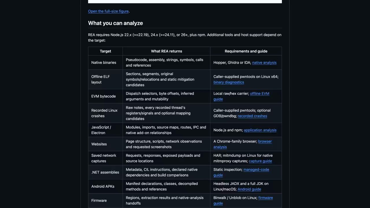 Bảng What you can analyze trong README của REA