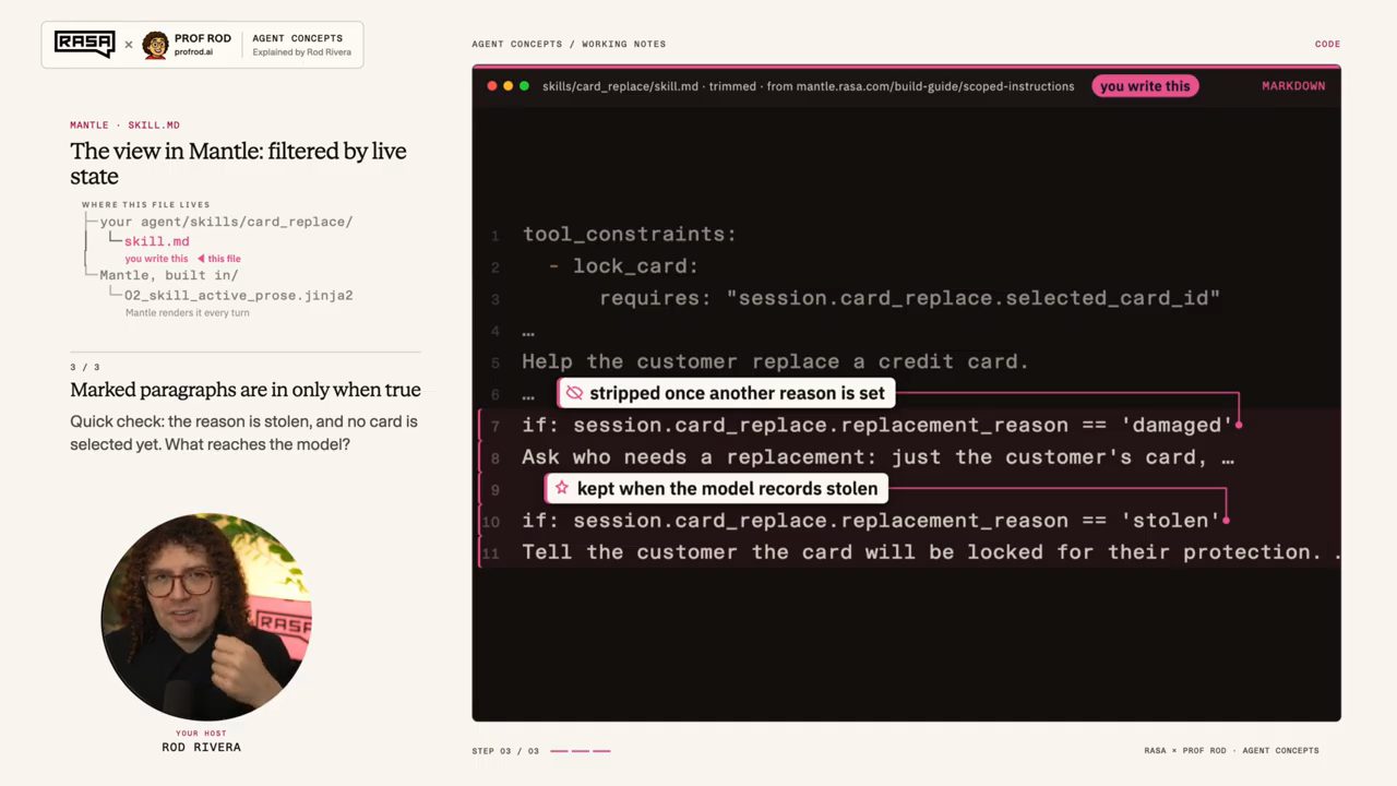 Thẻ code skill.md với chú thích stripped once another reason is set và kept when the model records stolen