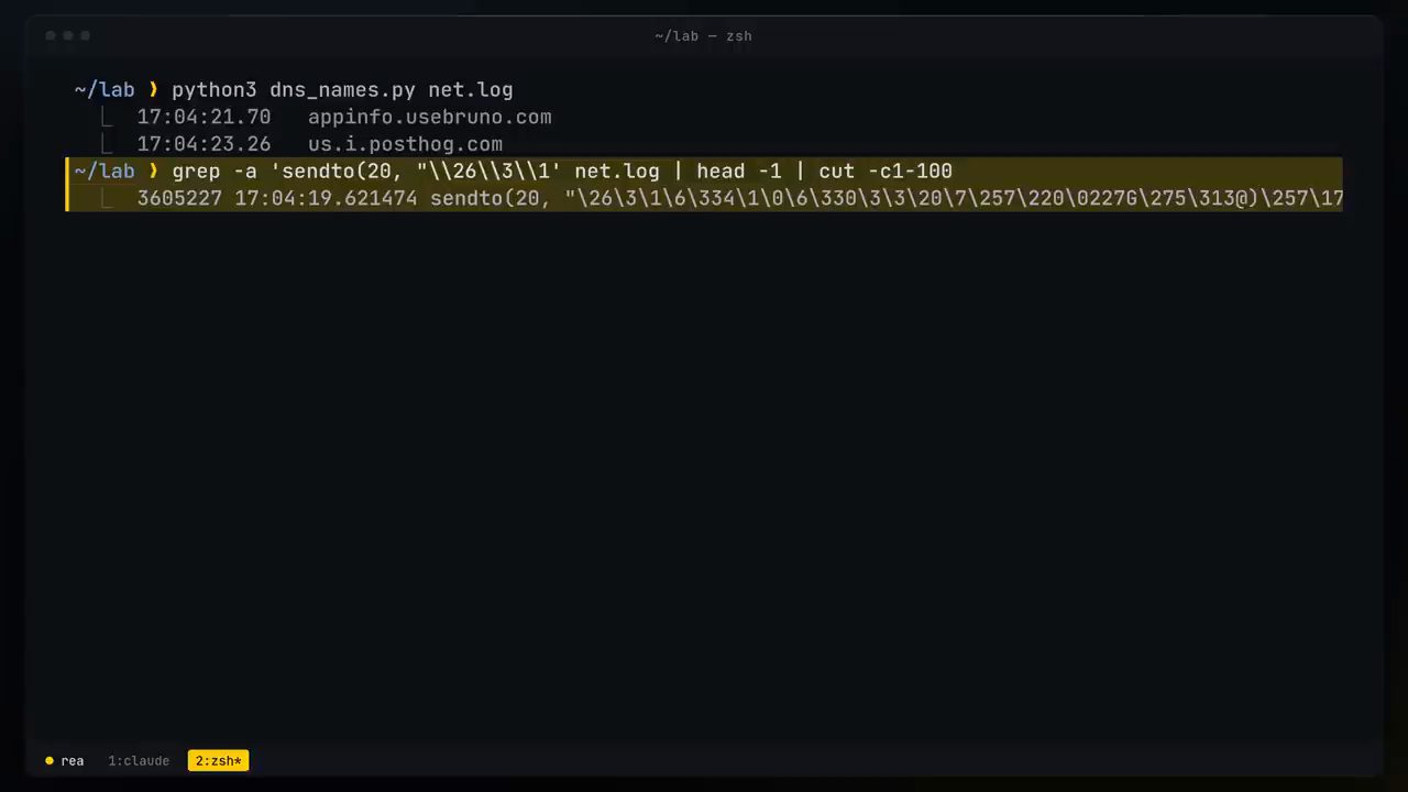 Terminal chạy dns_names.py trên net.log, ra hai tên miền appinfo.usebruno.com và us.i.posthog.com