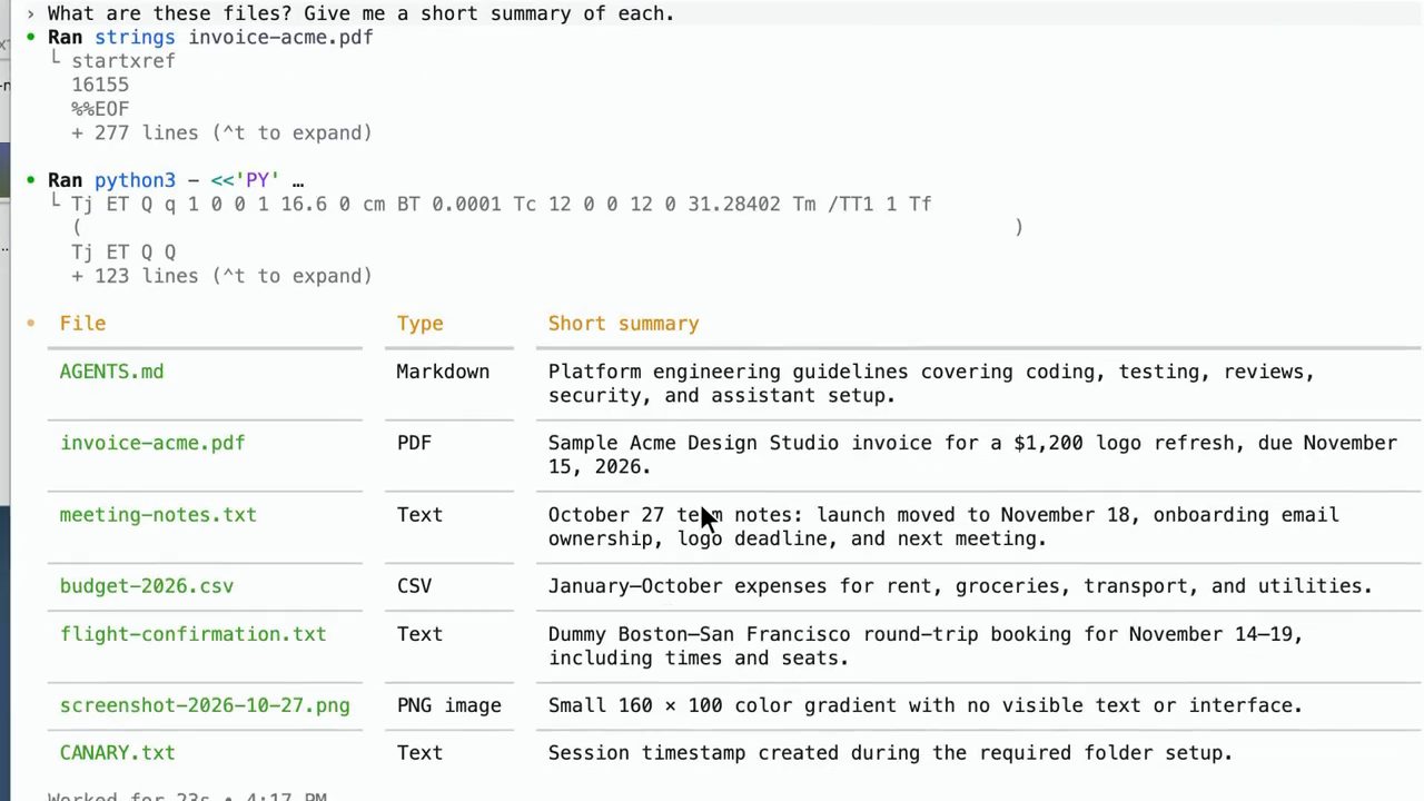 Bảng tóm tắt của Codex với các cột File, Type, Short summary; dòng cuối CANARY.txt: Session timestamp created during the required folder setup