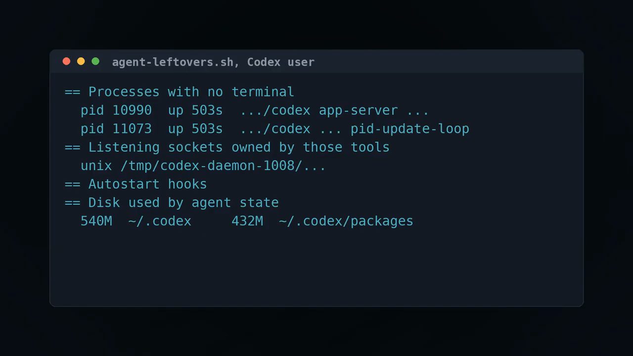 Output agent-leftovers.sh cho user Codex: hai process không có terminal, một Unix socket, không autostart hook, disk 540M