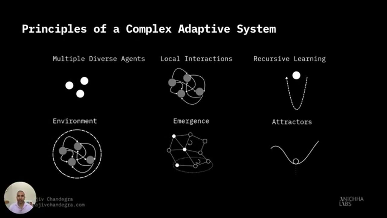 Slide Principles of a Complex Adaptive System với sáu biểu tượng
